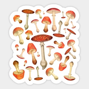 Fly Agaric Mushrooms, Sticker